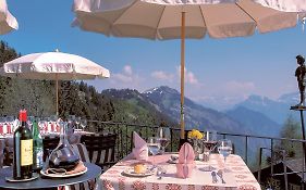 Hotel Bergsonne Rigi
